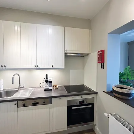 Eden-beach 公寓 奥斯滕德